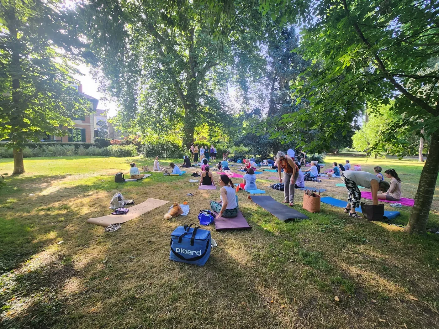 Festival du Gitananda Yoga à Vichy : pratique collective en plein air, France, 21 juin 2026